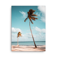 Load image into Gallery viewer, Tropical Palms Canvas Print